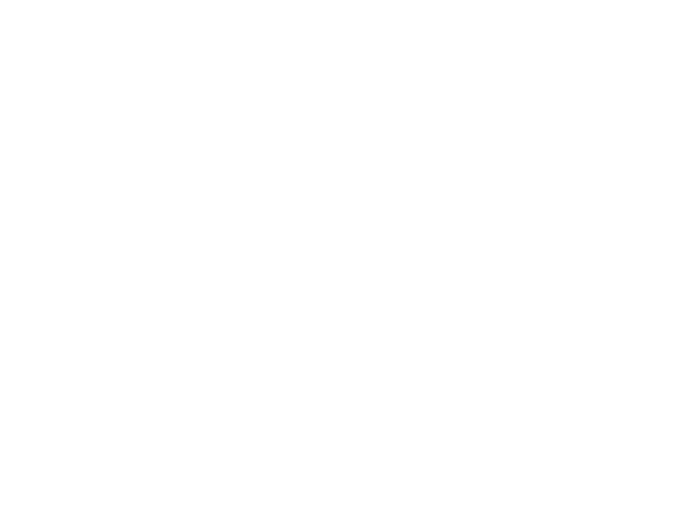 The Next Reel 2021 Logo Transparent