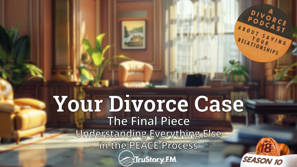The Final Piece: Understanding Everything Else in the PEACE Process • Your Divorce Case • How to Split a Toaster • Season 10 • Episode 18