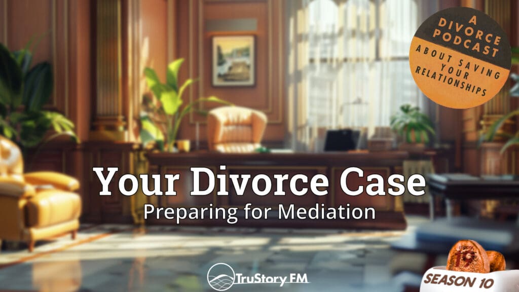 Preparing for Mediation • Your Divorce Case • How to Split a Toaster • Season 10 • Episode 19